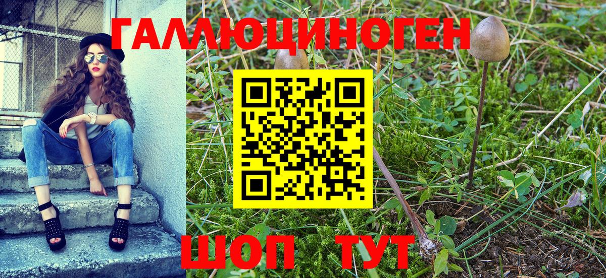 Псилоцибиновые грибы Magic Shrooms  Вход с VPN  Балтийск  Псилоцибиновые грибы Cubensis 