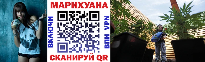 Бошки Шишки VHQ  Балтийск 